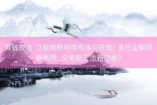 真钱投注 卫星物联网商用练习获批! 多行业解锁新利用， 交易航天添新动能?