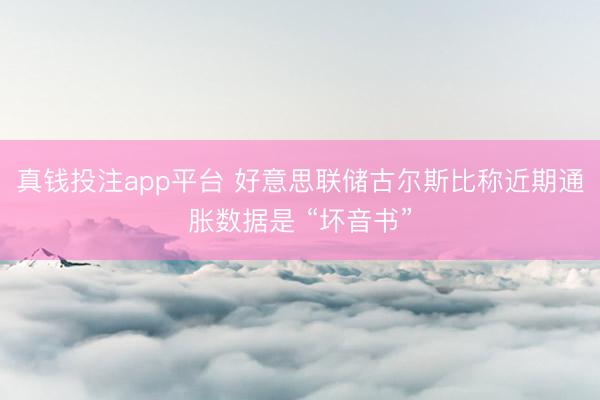 真钱投注app平台 好意思联储古尔斯比称近期通胀数据是 “坏音书”
