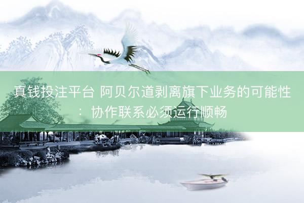 真钱投注平台 阿贝尔道剥离旗下业务的可能性：协作联系必须运行顺畅