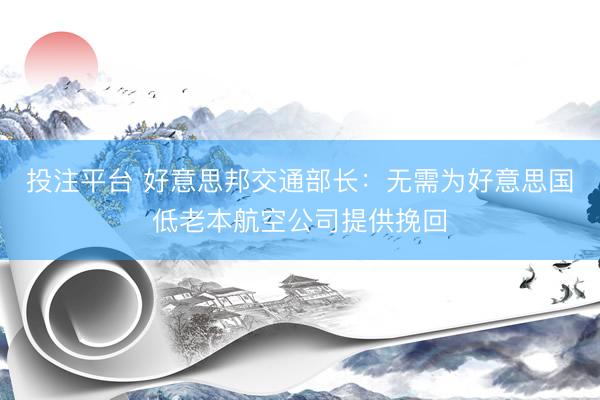 投注平台 好意思邦交通部长：无需为好意思国低老本航空公司提供挽回
