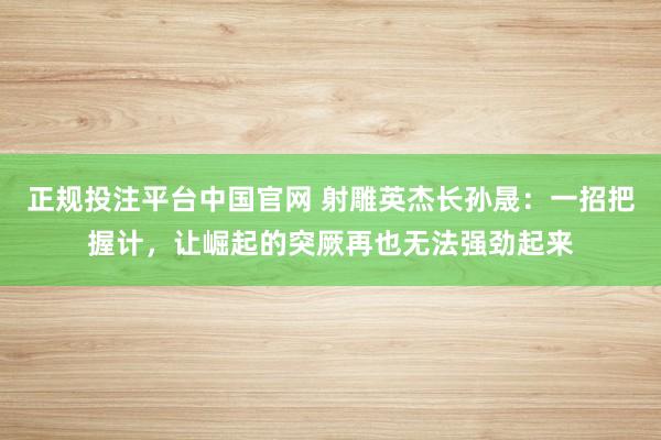 正规投注平台中国官网 射雕英杰长孙晟:一招把握计,让崛起的突厥再也无法强劲起来