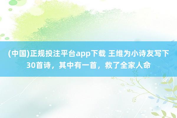 (中国)正规投注平台app下载 王维为小诗友写下30首诗,其中有一首,救了全家人命