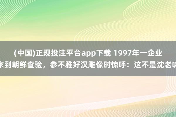 (中国)正规投注平台app下载 1997年一企业家到朝鲜查验,参不雅好汉雕像时惊呼:这不是沈老嘛
