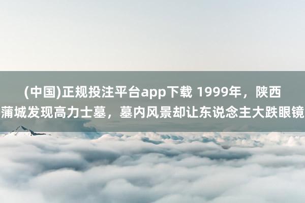 (中国)正规投注平台app下载 1999年,陕西蒲城发现高力士墓,墓内风景却让东说念主大跌眼镜
