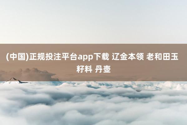 (中国)正规投注平台app下载 辽金本领 老和田玉 籽料 丹壶