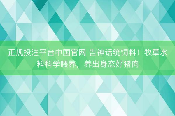 正规投注平台中国官网 告神话统饲料!牧草水料科学喂养,养出身态好猪肉