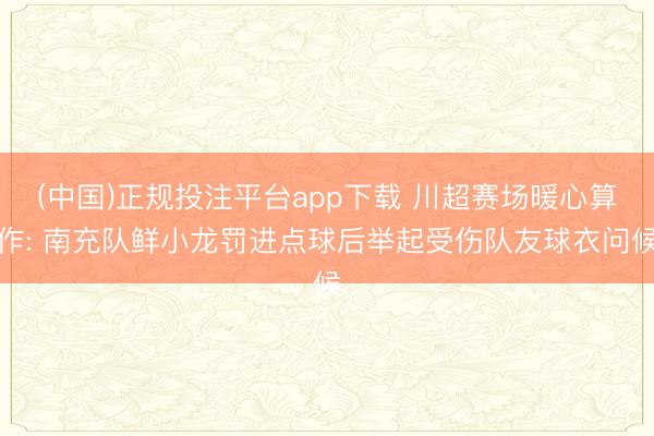 (中国)正规投注平台app下载 川超赛场暖心算作: 南充队鲜小龙罚进点球后举起受伤队友球衣问候