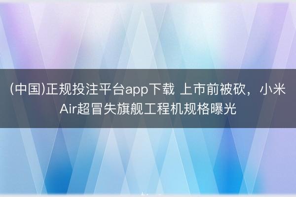 (中国)正规投注平台app下载 上市前被砍,小米Air超冒失旗舰工程机规格曝光
