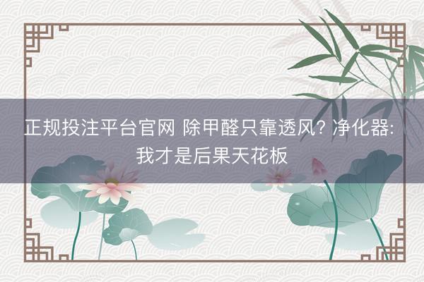 正规投注平台官网 除甲醛只靠透风? 净化器: 我才是后果天花板
