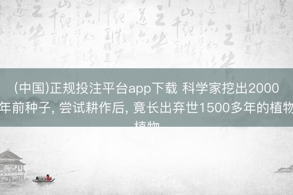(中国)正规投注平台app下载 科学家挖出2000年前种子, 尝试耕作后, 竟长出弃世1500多年的植物