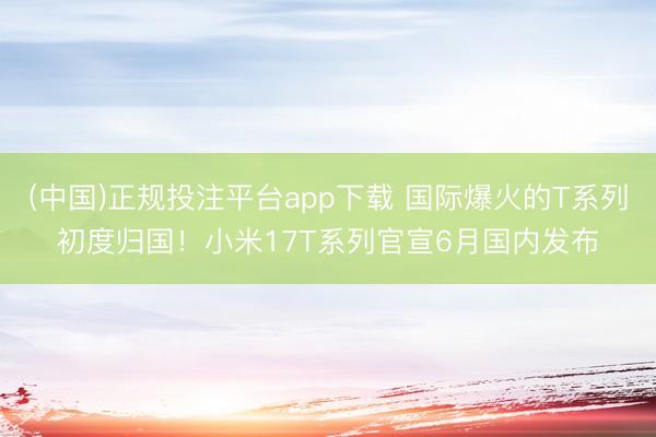 (中国)正规投注平台app下载 国际爆火的T系列初度归国!小米17T系列官宣6月国内发布