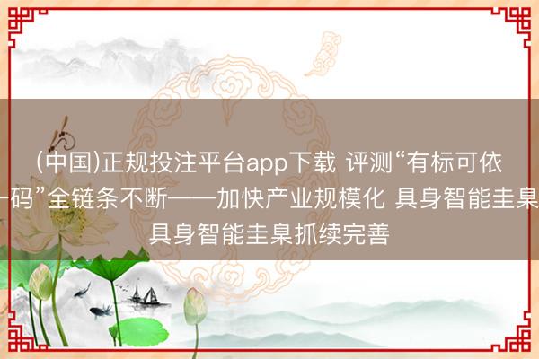 (中国)正规投注平台app下载 评测“有标可依” “一机一码”全链条不断——加快产业规模化 具身智能圭臬抓续完善
