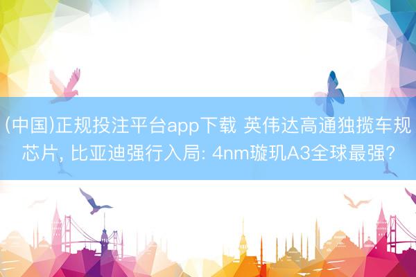 (中国)正规投注平台app下载 英伟达高通独揽车规芯片, 比亚迪强行入局: 4nm璇玑A3全球最强?