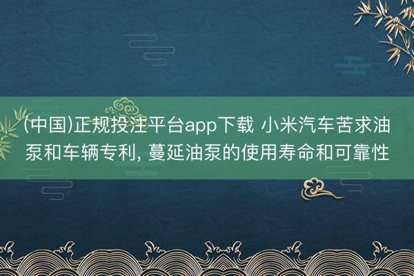 (中国)正规投注平台app下载 小米汽车苦求油泵和车辆专利, 蔓延油泵的使用寿命和可靠性
