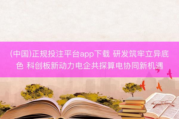 (中国)正规投注平台app下载 研发筑牢立异底色 科创板新动力电企共探算电协同新机遇