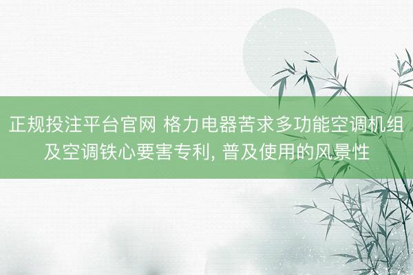 正规投注平台官网 格力电器苦求多功能空调机组及空调铁心要害专利, 普及使用的风景性