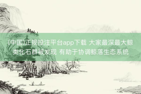 (中国)正规投注平台app下载 大家最深最大鲸类化石群被发现 有助于协调鲸落生态系统